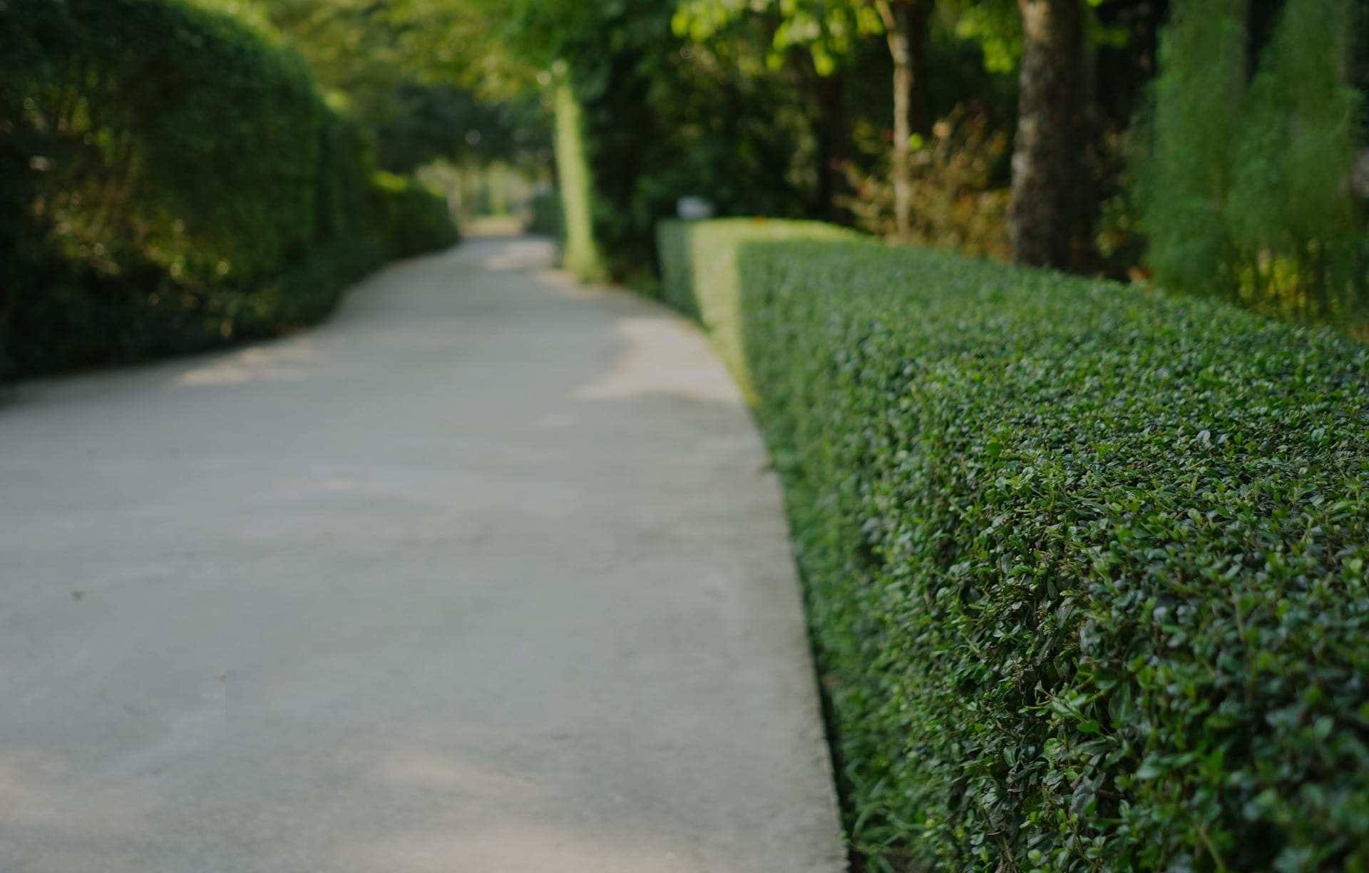 Landscape Management.