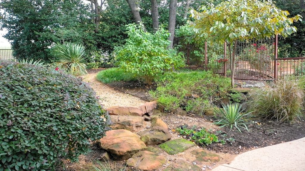 Why Water Management Matters Before Your Landscape Shows Signs of Stress